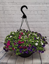 Load image into Gallery viewer, &quot;Beautiful 13inch Hanging Baskets&quot;
